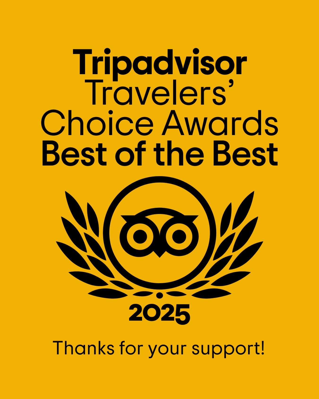Playa del Carmen es Elegido el Mejor Destino por los Viajeros en los People's Choice Awards 2025 de Tripadvisor