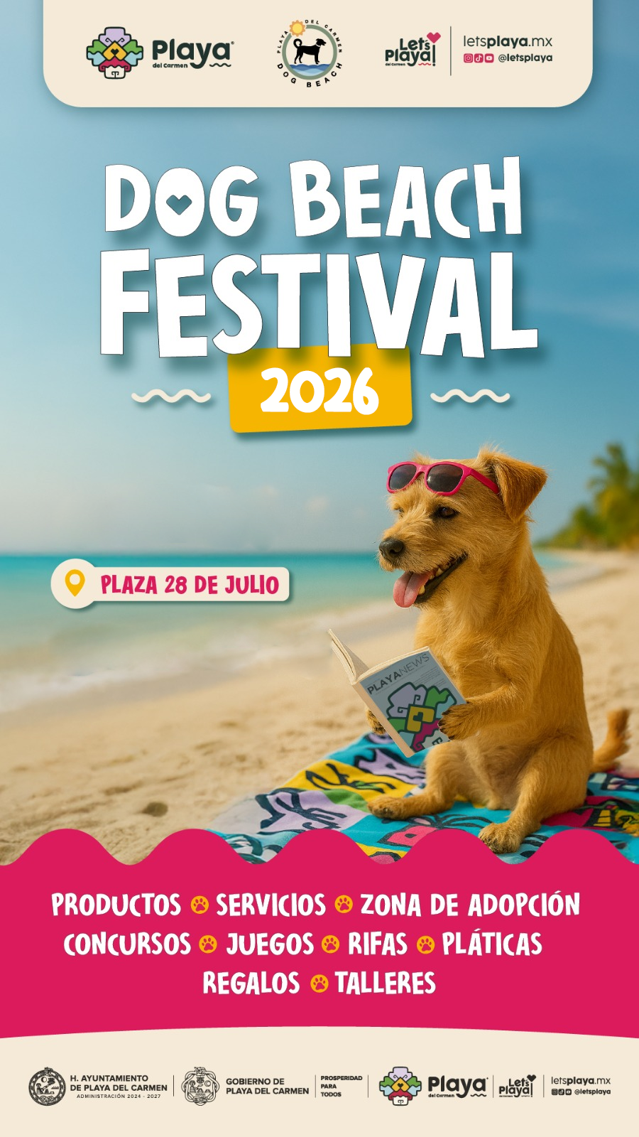 Dog Beach Fest Vol 2