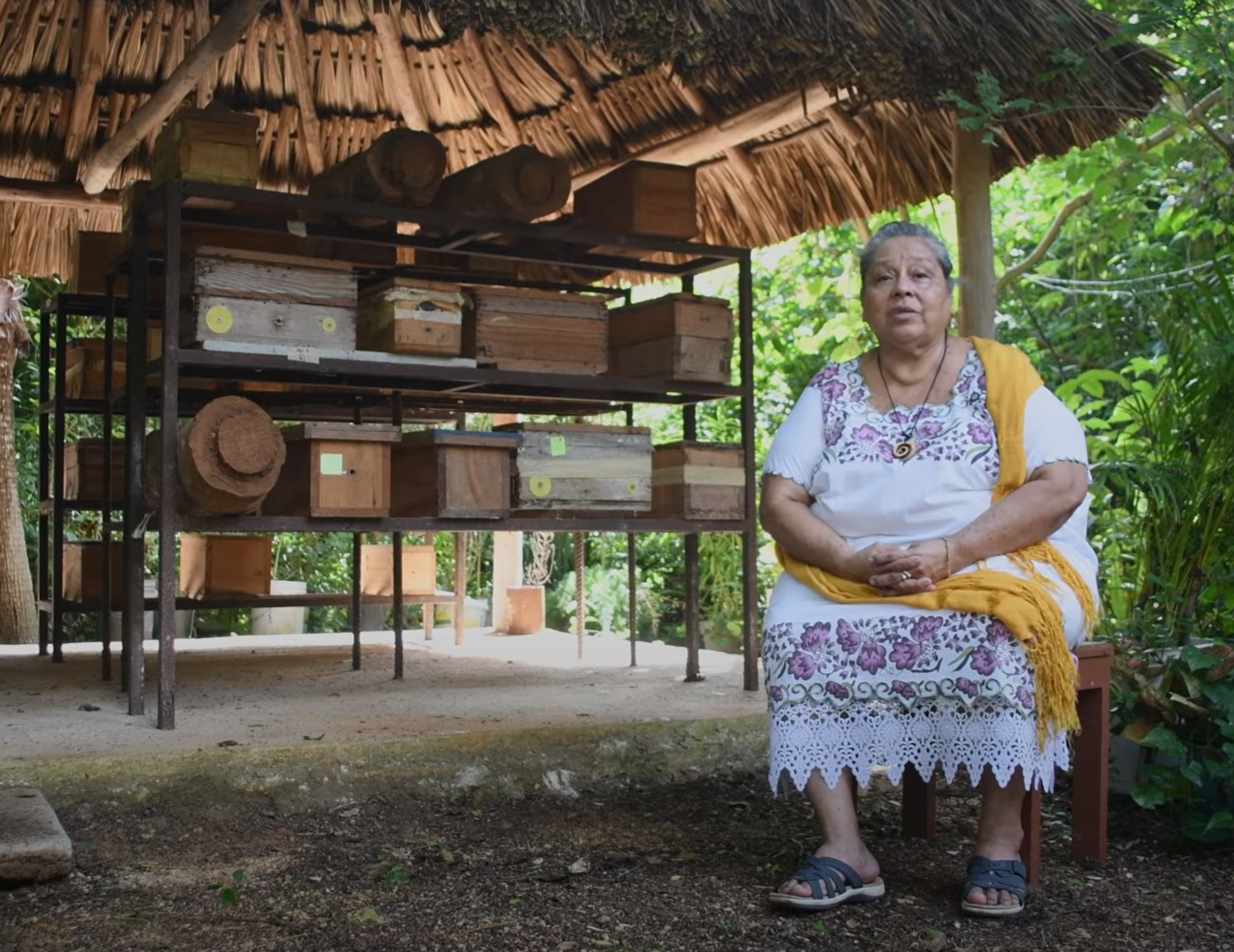 Playa del Carmen obtuvo el Distintivo de Turismo Comunitario Semilla