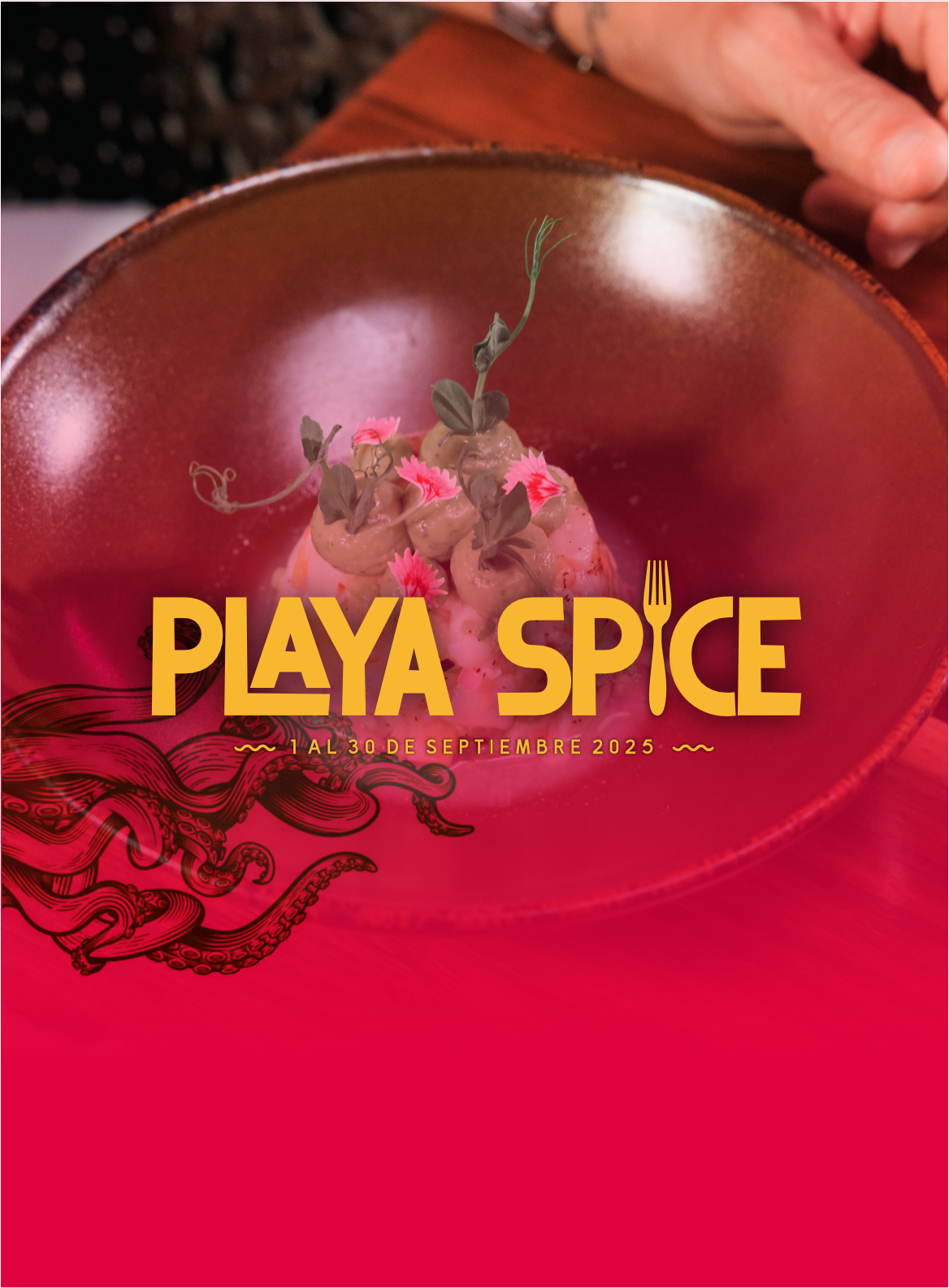 Playa Spice 2025