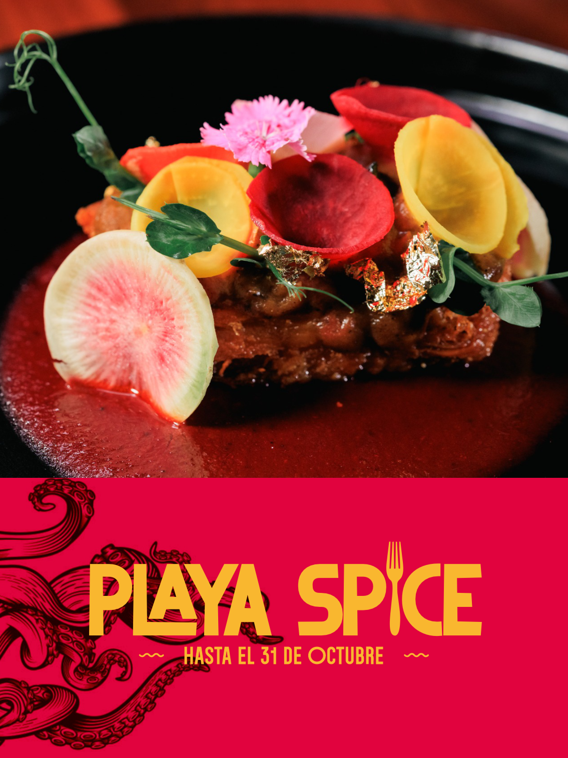 Playa Spice 2025