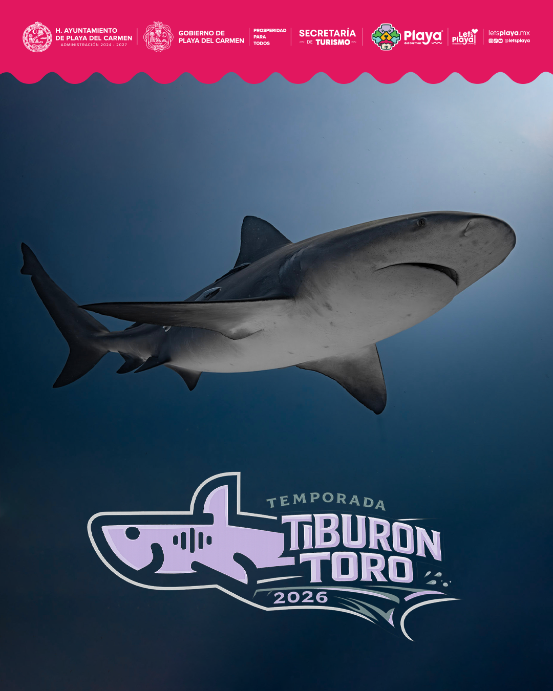 Temporada del Tiburón Toro