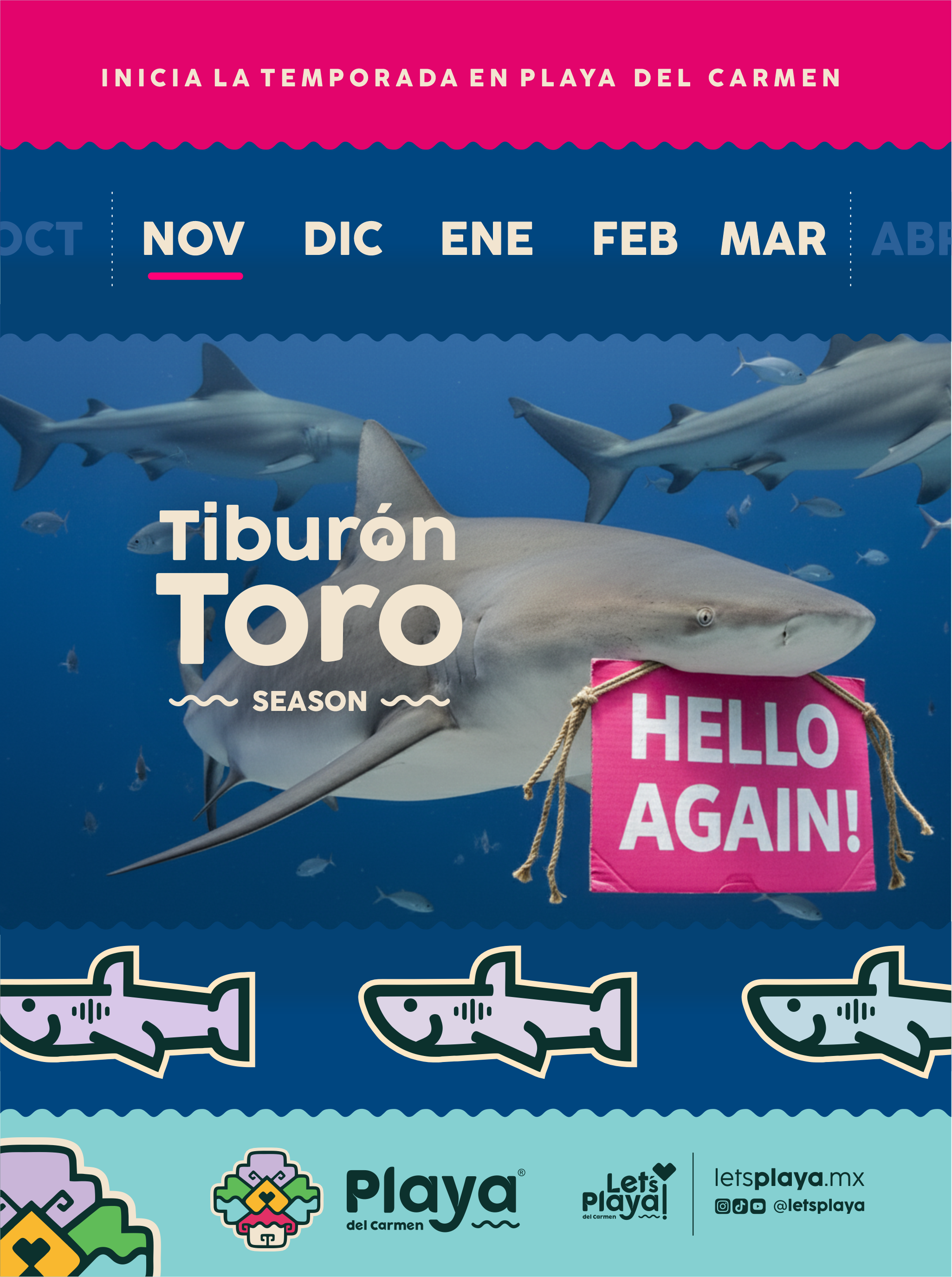 Tiburón Toro Season